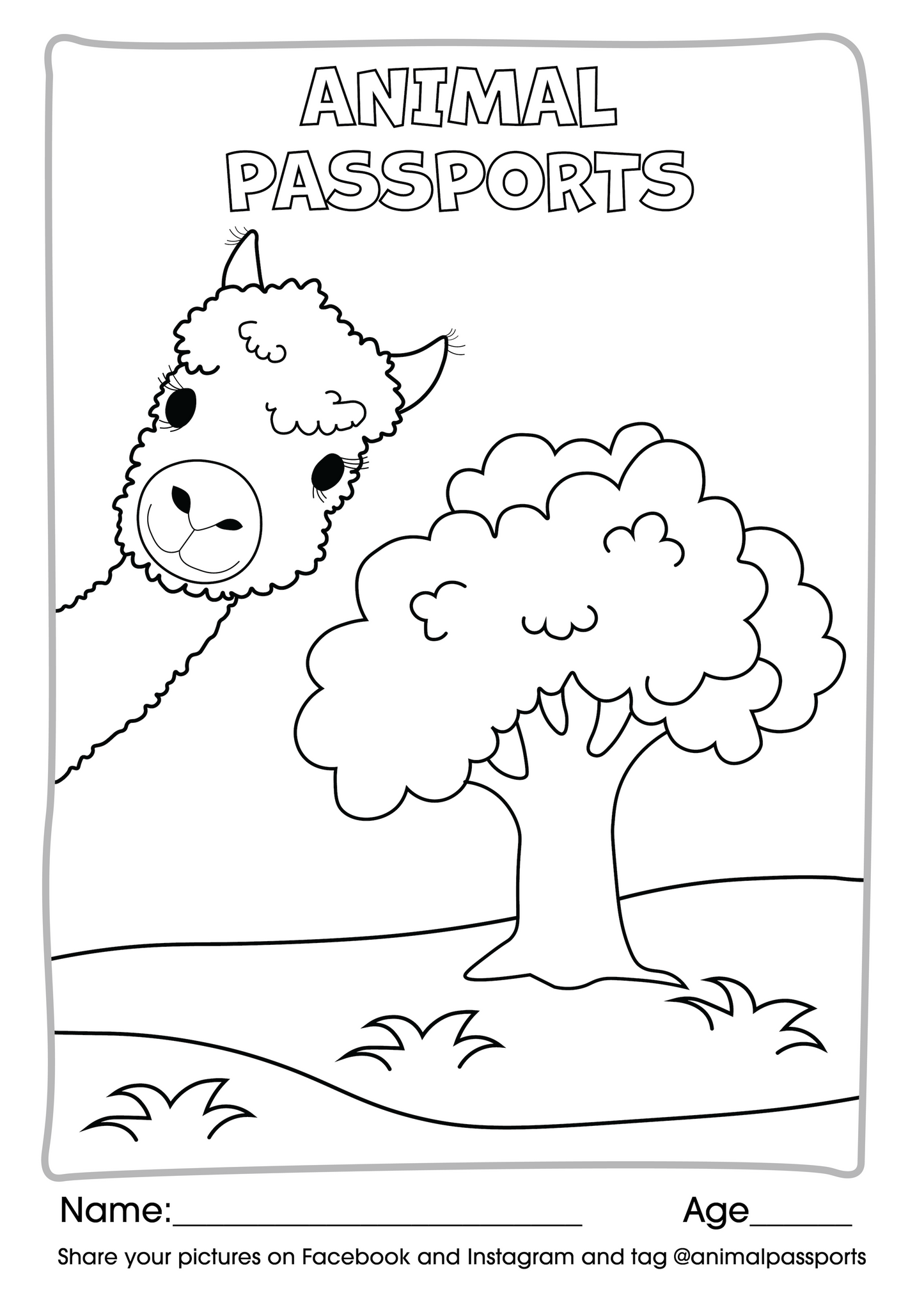 Alpaca Colouring Page – Digital Download (PDF)