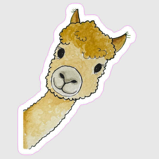 Alpaca Sticker